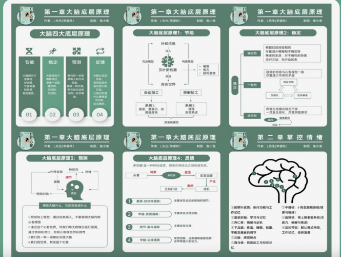 了解大脑的底层逻辑并且学会掌控情绪-三米星球:游戏人&互联网人终身成长的平台