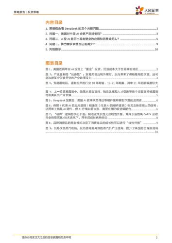 【AI科技】行业比较专题：DeepSeek策略三问.pdf-三米星球：游戏人&互联网人终身成长的平台