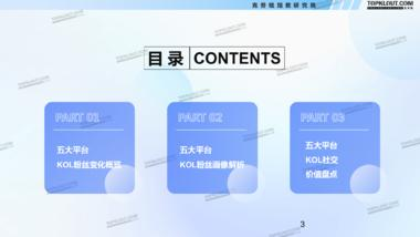 《2024看得见的粉丝价值—五大平台KOL粉丝分析研究报告-克劳锐-202406.pdf》-三米星球:游戏人&互联网人终身成长的平台