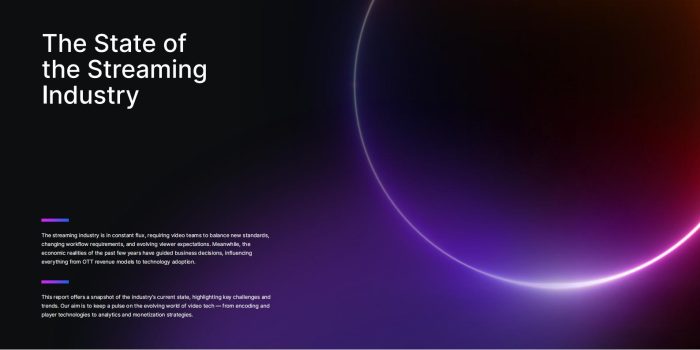 【游戏资讯】2025年视频开发者报告.pdf-三米星球:游戏人&互联网人终身成长的平台