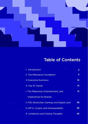 【游戏资讯】Newzoo：2022年互联网未知领域：元宇宙、区块链游戏和NFT（en）.pdf-三米星球：游戏人&互联网人终身成长的平台