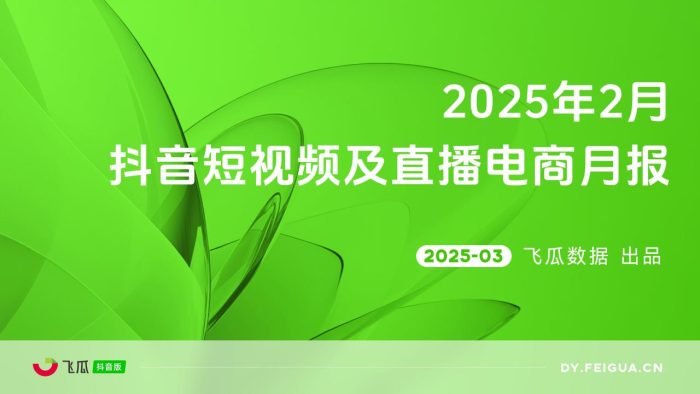 【游戏资讯】飞瓜数据：2025年02月短视频及直播电商营销月报.pdf-三米星球：游戏人&互联网人终身成长的平台