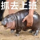急救箱 - 三米星球：游戏人&互联网人终身成长的平台-三米星球：游戏人&互联网人终身成长的平台