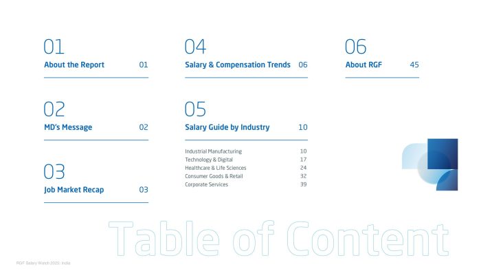 【游戏资讯】RGF：2025年薪酬观察报告-印度篇（英文版）.pdf-三米星球：游戏人&互联网人终身成长的平台