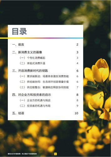 【游戏资讯】解码2025中国消费：悦己驱动下的消费变革.pdf-三米星球：游戏人&互联网人终身成长的平台