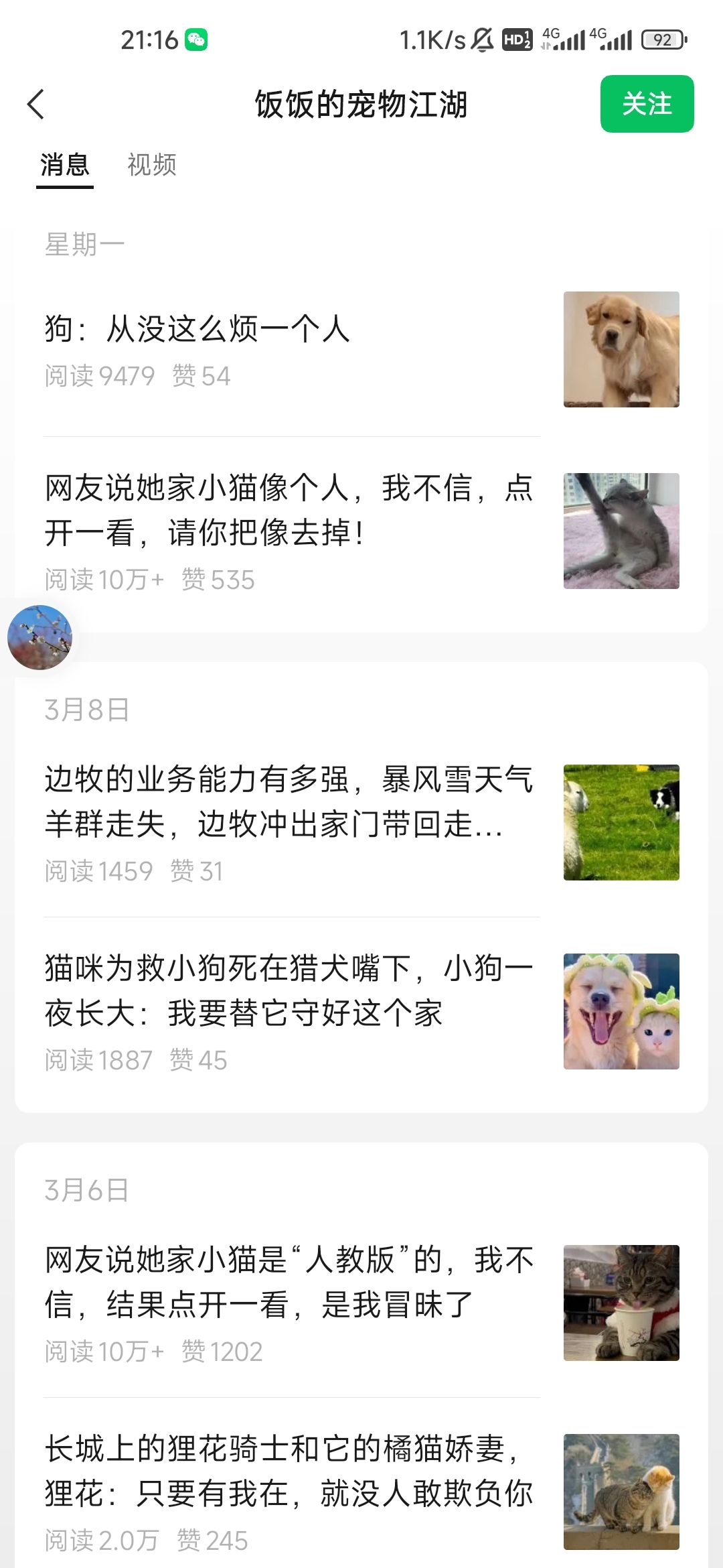 2月14日起写20篇宠物文章，含4篇10万+、4篇5万+-螃蟹搞钱社区-游戏星球-三米星球：游戏人&互联网人终身成长的平台