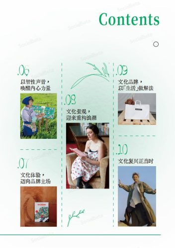 2025文化营销10大趋势-SocialBeta.pdf-三米星球:游戏人&互联网人终身成长的平台
