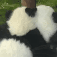 太阳