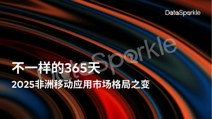 DataSparkle：2025-非洲移动应用市场格局之变.pdf-三米星球：游戏人&互联网人终身成长的平台