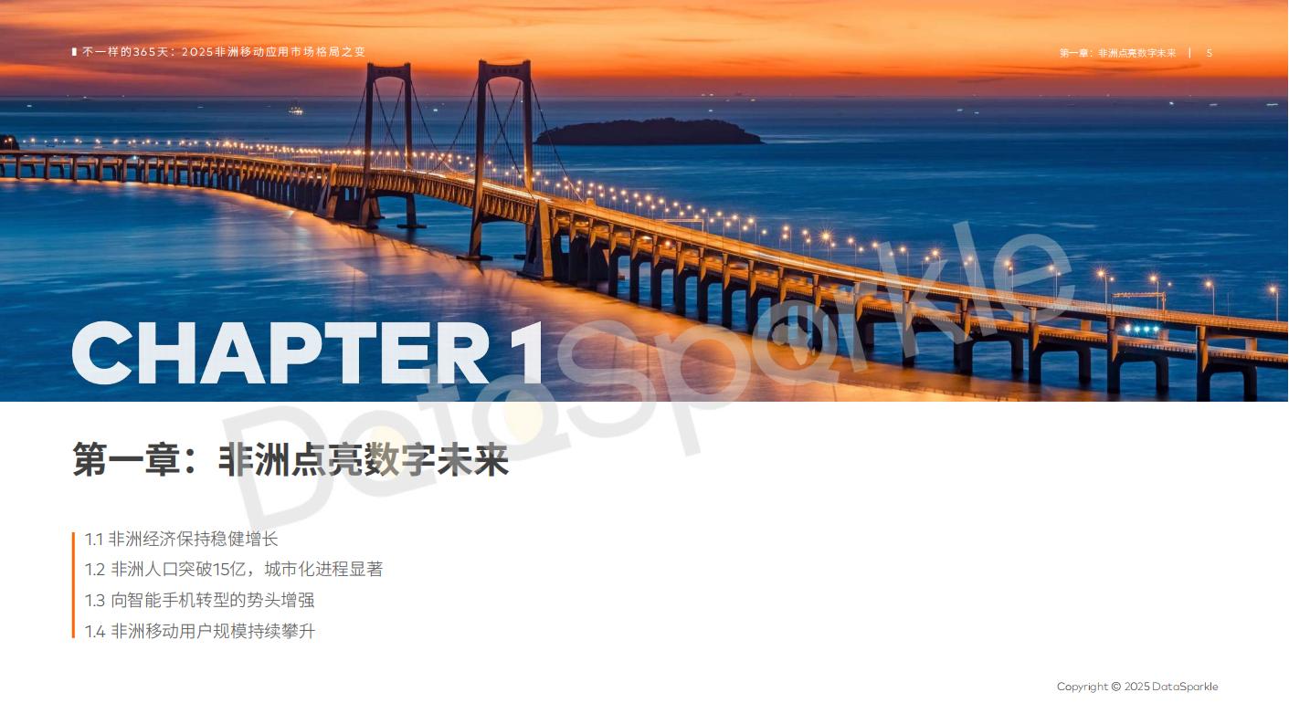 DataSparkle：2025-非洲移动应用市场格局之变_06