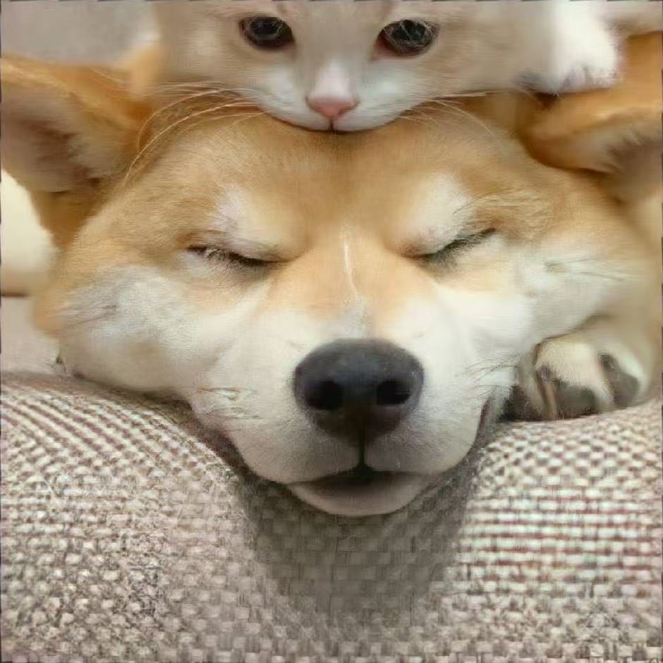大力老师