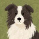 阿辉的头像-三米星球：游戏人&互联网人终身成长的平台