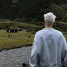 Sherry的头像-三米星球：游戏人&互联网人终身成长的平台