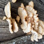 无名者的头像-三米星球：游戏人&互联网人终身成长的平台