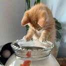 用户23463912的头像-三米星球：游戏人&互联网人终身成长的平台