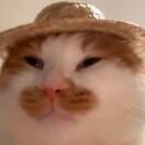 用户88123962的头像-三米星球：游戏人&互联网人终身成长的平台