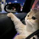 黄糖的头像-三米星球：游戏人&互联网人终身成长的平台