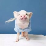 空白键 - 三米星球：游戏人&互联网人终身成长的平台-三米星球：游戏人&互联网人终身成长的平台