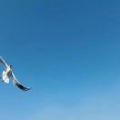 用户34205945的头像-三米星球：游戏人&互联网人终身成长的平台