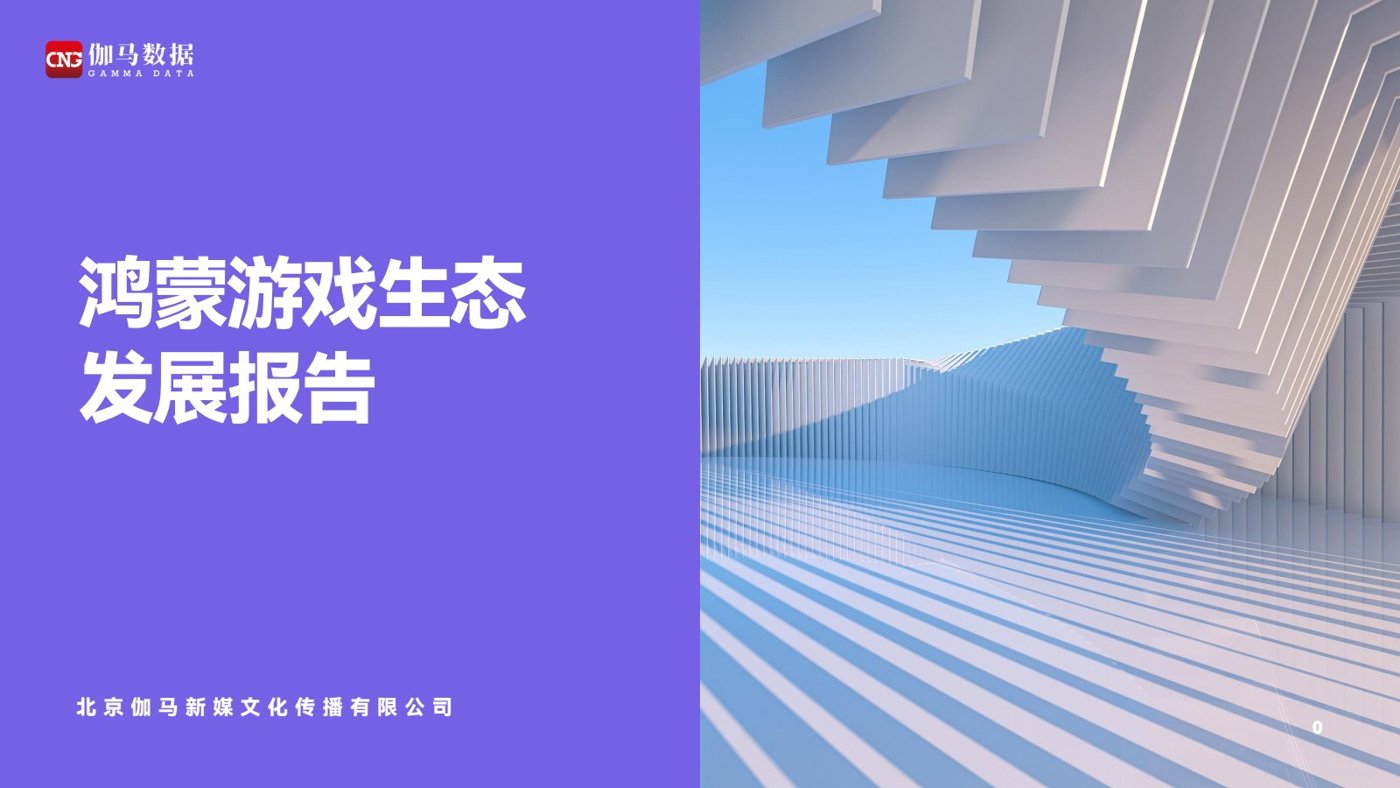 报告预览 1