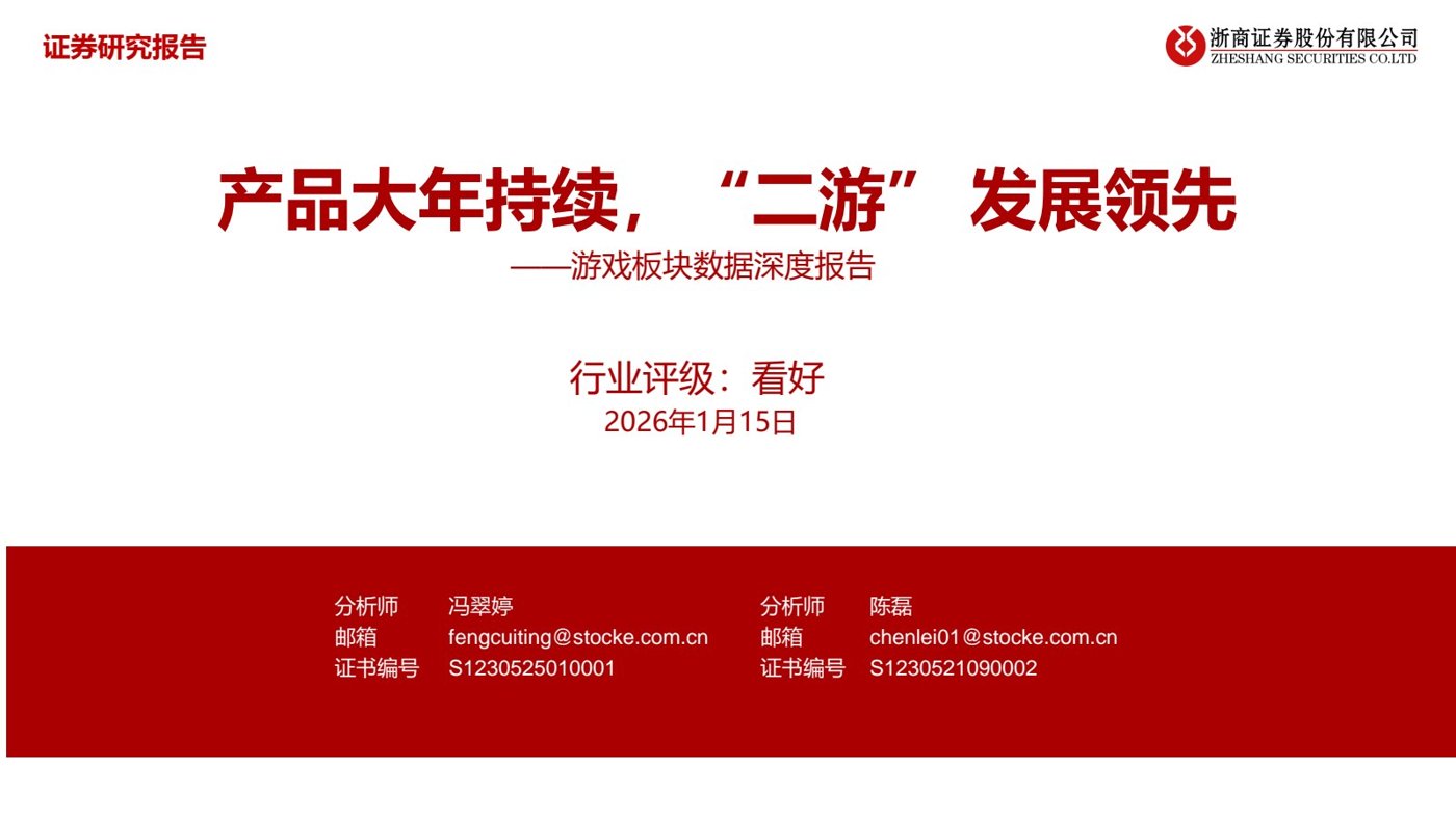 报告预览 1